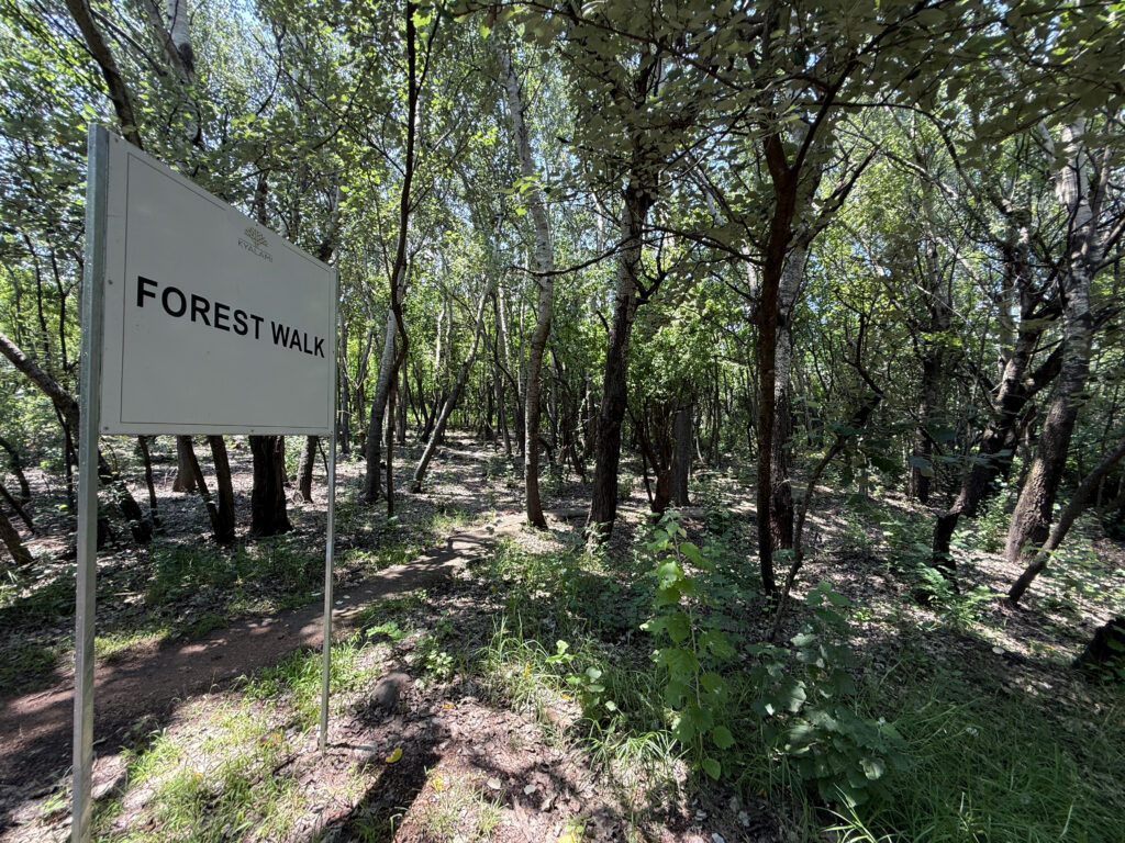 Kyalami Estates Forest